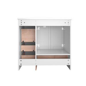Shaker Free Standing Bathroom Vanity Cabinet & Sink, Soft Close Drawers, Soft Close Doors