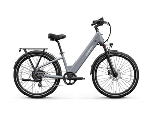 Poodle Pro Ebike