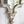 Artistic Diamond Scrollwork Mirror, Home Accent Mirror For Living Room, Entryway, Bedroom, Office - Antique White