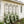 4 Pack Metal Garden Trellis 86.7