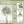 8FT Artificial Olive Tree with Decorative White Planter