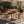 4 Pieces Arly Black Outdoor Bar Stool Solid Acacia Wood and Woven Wicker
