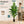 Artificial Palm Tree 6ft - Large Fake Tropical Tree (2 Pack)