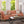 Alana Lawson - Three Cushion Tightback Sofa