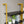 5-Tier Bookshelf Solid Wood Ladder Shelf