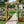Wedding Arbor With Trellis Design