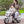 12V Kids Ride-On Motorcycle