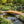 8 ft bridge with no railling