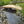 8 ft bridge with no railling