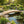 8 ft bridge with no railling