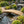 8 ft bridge with no railling