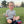Junior Golf Clubs for Kids | Youth Golf Sets Ages 2-5 & 6-9 | Left & Right Hand