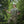 M-Tac T-Shirt Quadcopter