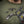 M-Tac T-Shirt Quadcopter