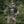 M-Tac T-Shirt Odin