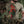 M-Tac T-Shirt Motanka