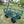Wagon Cart Garden Cart Trucks in Green