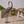 Bird Animals - Cranes for Outdoor Decor