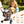 Pet Stroller for Dogs and Cats, 2-in-1 Detachable Foldable With Sun Canopy