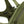 TrailGuard Chest Pack for Concealed Carry