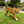 Simulated Tiger Resin Garden Statue