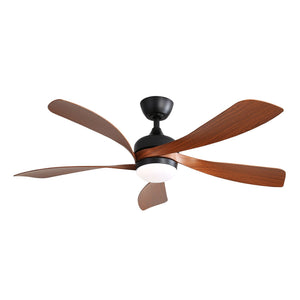 Ceiling Fan with DC Motor and Integrated Light
