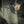 M-Tac Pants Soft Shell Winter - TRAPSKI