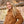 Women's Sherpa Shacket