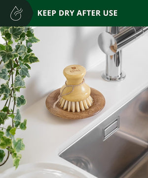 Dish Washing Brush - TRAPSKI