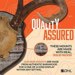 Antler Plaques - TRAPSKI