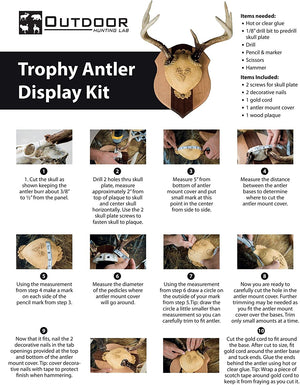 Antler Plaques - TRAPSKI