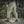 M-Tac Pants Soft Shell Winter - TRAPSKI