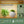 Large Indoor Plant Stand with Grow Light