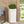 MGO Planter
