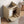 Bathroom Vanity Base, Cabinet With Carved Floral Doors - Natural Wood