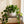 Large Round Planters for Indoor and Outdoor Use