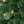 Home Heritage Half Pine 7' Pre-Lit Artificial Christmas Tree, 150 Warm White LED