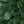 Home Heritage Half Pine 7' Pre-Lit Artificial Christmas Tree, 150 Warm White LED