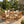 7 Piece Outdoor Patio Dining Set With Removable Cushions