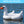 Swimline Giant Swan Inflatable Ride On Swimming Pool Float Raft Island, White