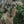 M-Tac Open-Top Pouch PKM Ammo Box Fast