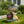 Sitting Corgi Dog Planter Outdoor Decor