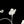 3D Star Wings Wired Headphone Decorations