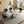 Modern Rectangular Dining Table For 6 With Chairs