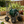 Garden Hose Reel Cart - 4 Wheels Portable with Storage Basket