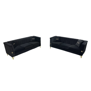 FX-P82-2PC Sofa Set