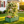 2-in-1 Raised Garden Bed with Trellis - 59