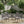 Outdoor PE Rattan Stacking Chair with Iron Frame and Cushions (Set of 4)