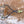Timber Tuff TMW-04SS 32 In. Forestry Logging Swivel Grab Dragging Skidding Tongs - TRAPSKI