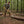 Timber Tuff TMW-01 4 Foot Wood Handle Logging Forestry Log Rolling Peavey Hook